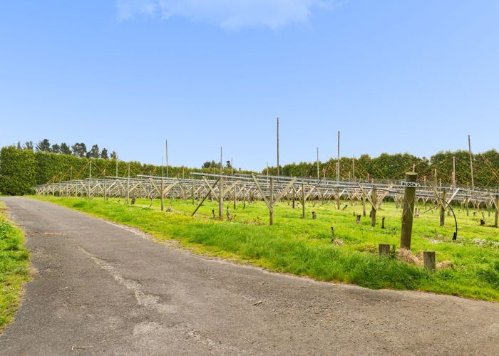  at Lot 3/1010 Te Matai Road, Te Puke, Western Bay Of Plenty, Bay Of Plenty