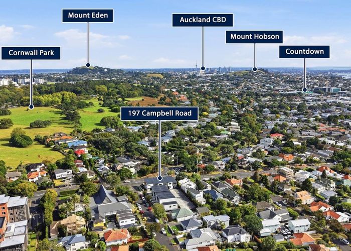  at 197 Campbell Road, Greenlane, Auckland City, Auckland
