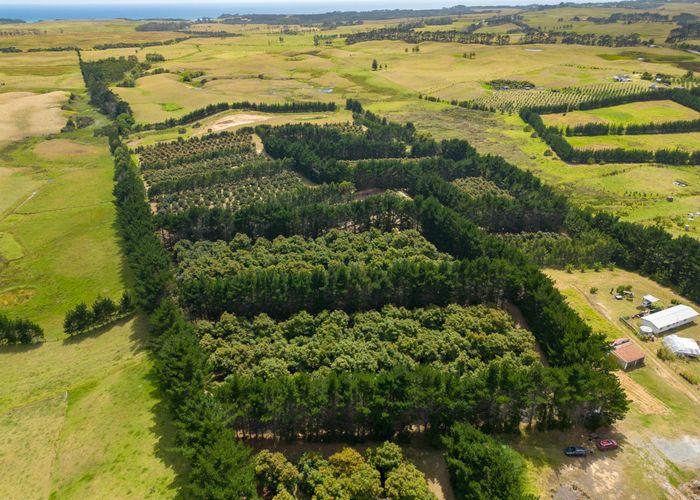 at 5126 State Highway One, Ngataki, Far North, Northland