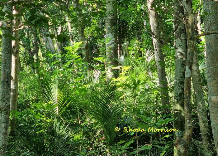  at 47 Andrae Lane, Maungaturoto, Kaipara, Northland