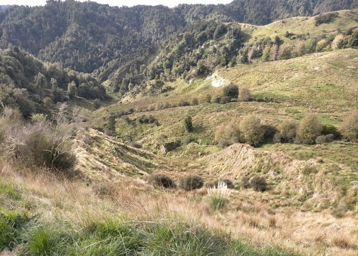  at Lot 2, 1399 Okoki Road, Urenui, New Plymouth, Taranaki