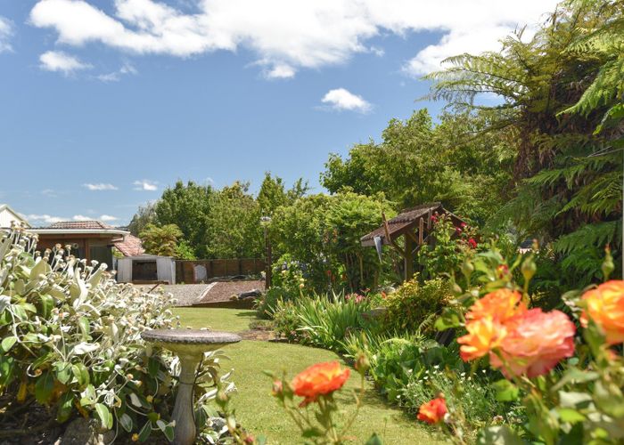  at 8 Frances Street, Ngongotaha, Rotorua, Bay Of Plenty