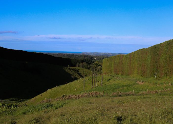  at 1042 Rangiuru Road, Te Puke, Western Bay Of Plenty, Bay Of Plenty