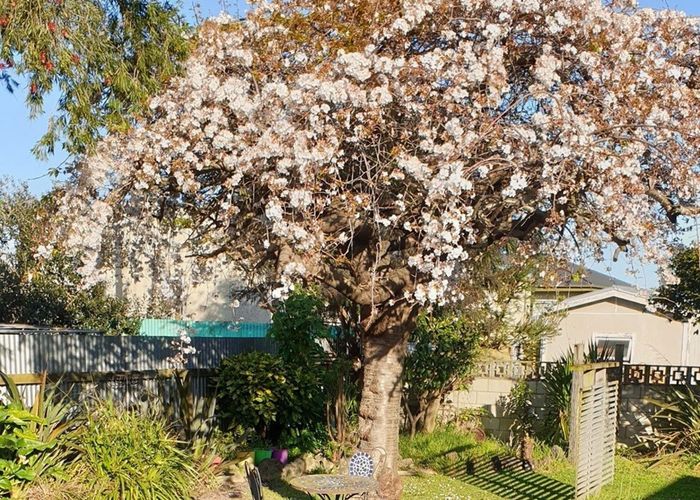  at 717 Pakowhai Road, Frimley, Hastings