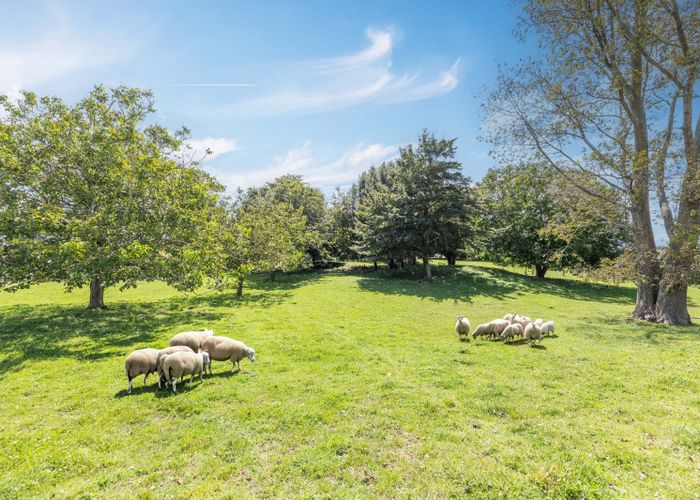  at 15 Pinedale Road, Putaruru