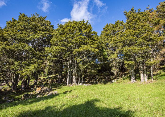  at 433 Crane Road, Kauri, Whangarei, Northland