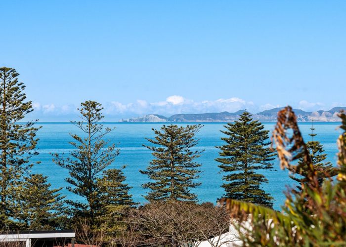  at 16 Brewster Street, Bluff Hill, Napier, Hawke's Bay