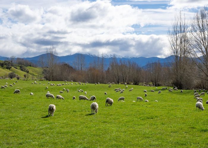  at 121 Win Valley Road, Dovedale, Tasman, Nelson / Tasman