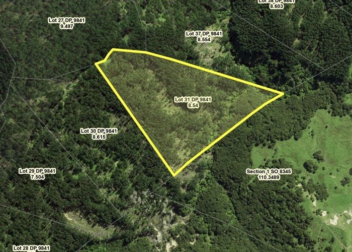  at Lot 5/0 Shanks Road, Waingake, Gisborne, Gisborne