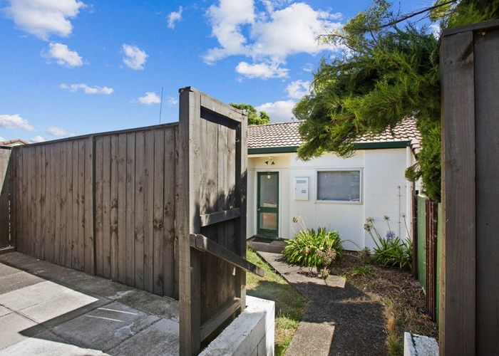  at 17 Fred Woodward Place, Mount Roskill, Auckland City, Auckland