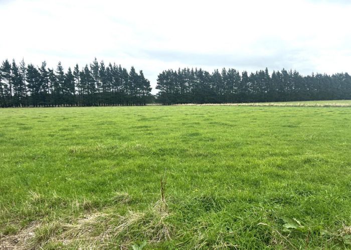  at 47 Gundries Road, Dannevirke, Tararua, Manawatu / Whanganui