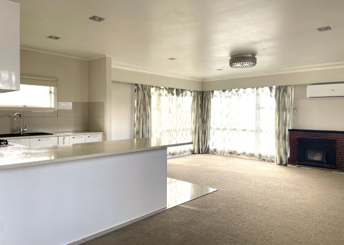  at 100 Oakdale Road, Mount Roskill, Auckland