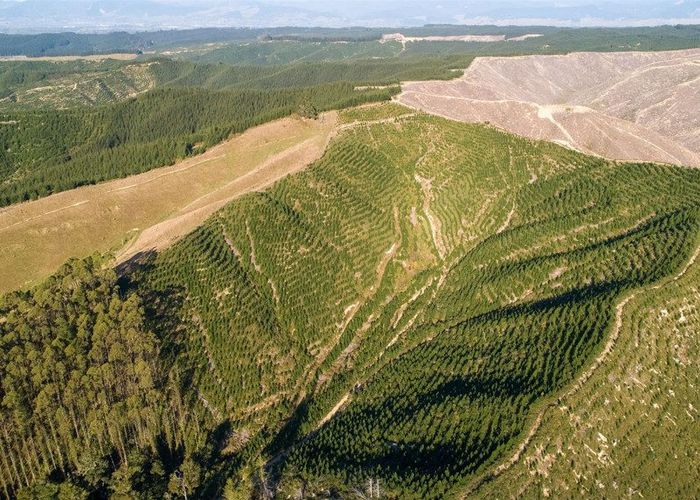  at 0 Win Valley Road, Upper Moutere, Tasman, Nelson / Tasman