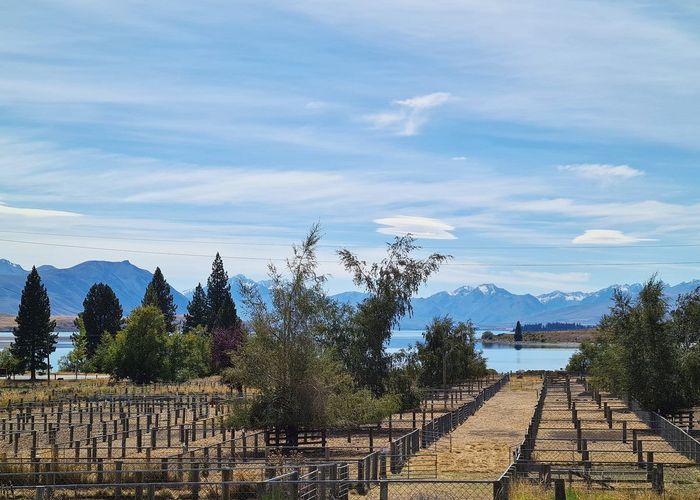  at 9 Dwyer Place, Lake Tekapo