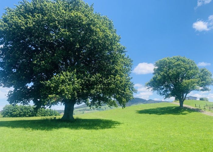  at 231B Morgan Road, Matamata, Matamata-Piako, Waikato