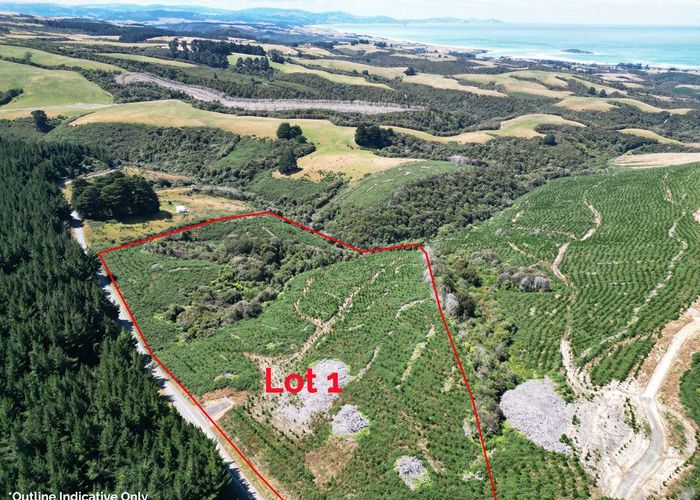 For sale 528 Taieri Beach Road, Taieri Mouth, Clutha, Otago homes.co.nz