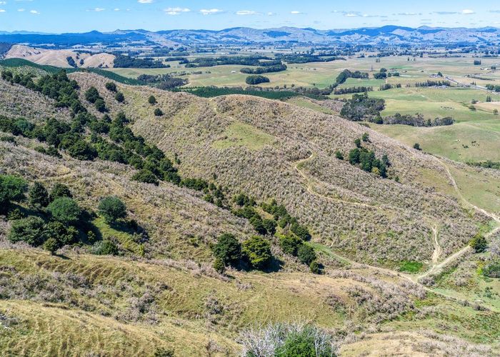  at 650 Falls Road, Maramarua, Franklin, Auckland