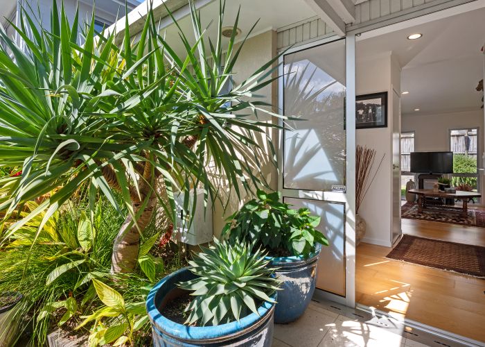  at 3/70 Hinemoa Street, Birkenhead, Auckland