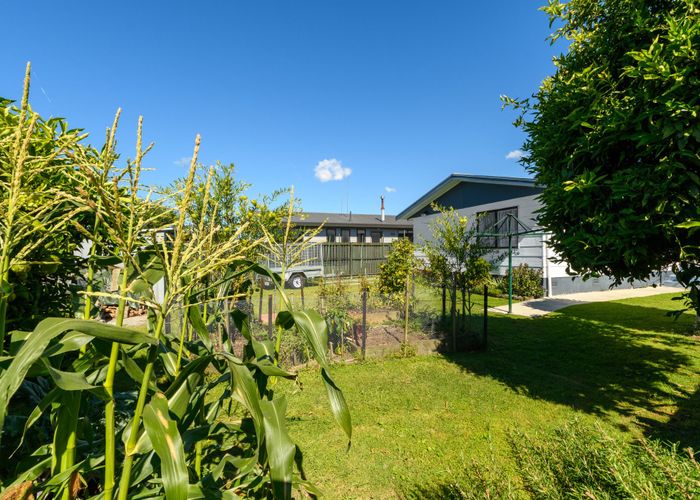  at 2 College Place, Poike, Tauranga, Bay Of Plenty