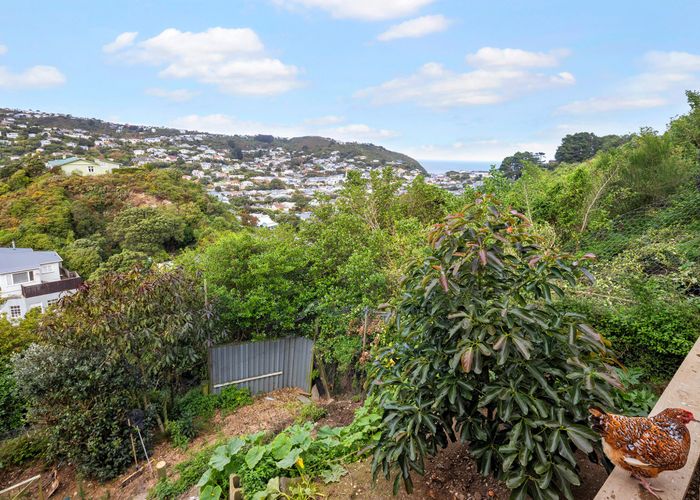  at 67 Rhine Street, Island Bay, Wellington, Wellington