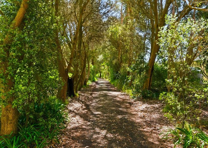  at 340D Ngarara Road, Waikanae, Kapiti Coast, Wellington