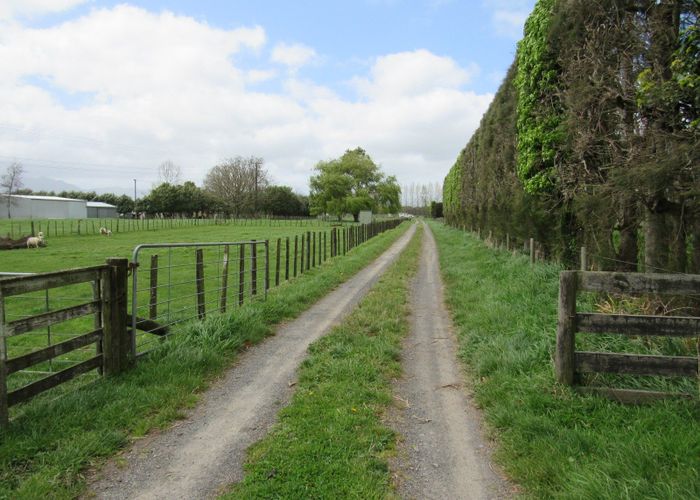 For sale 315 Wood Road, Waitoa, MatamataPiako, Waikato homes.co.nz