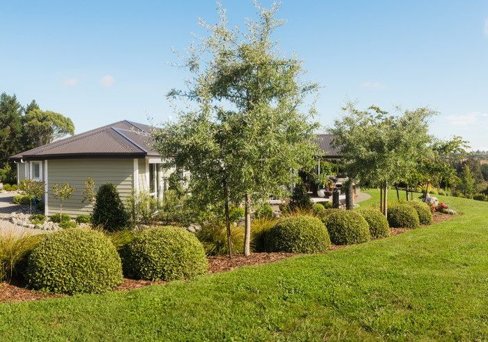  at 169 Dominion Road, Mahana