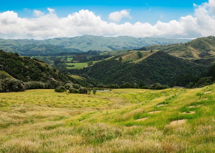  at Ngakonui Forest, Martinborough, South Wairarapa, Wellington