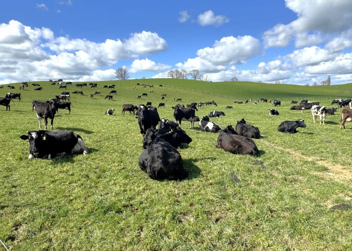  at 233B Kio Kio Station Road, Otorohanga, Otorohanga, Waikato