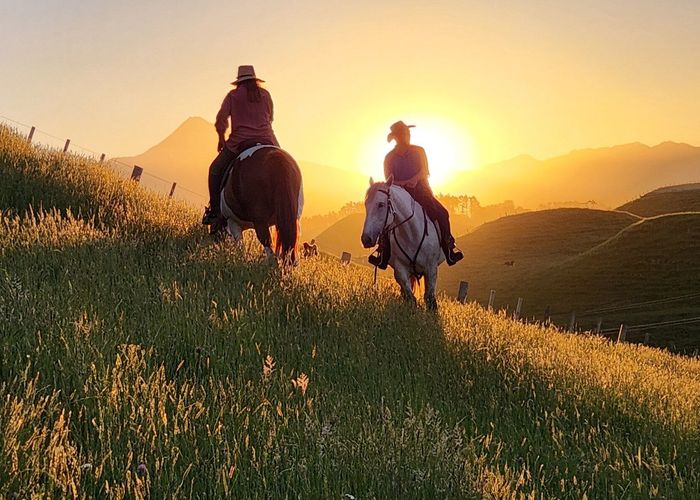  at 964 Tarata Road, Inglewood, New Plymouth, Taranaki