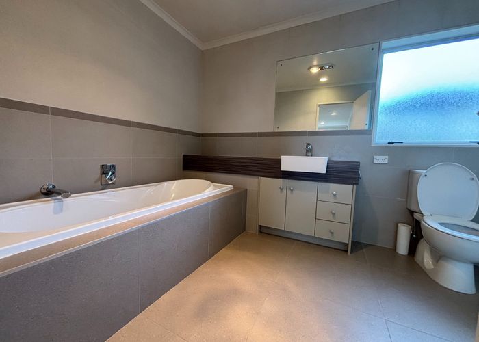  at 19 Woolaston Place, Flat Bush, Manukau City, Auckland