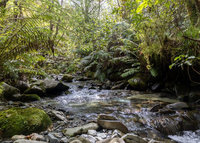  at 1292 Aorere Valley Road, Bainham