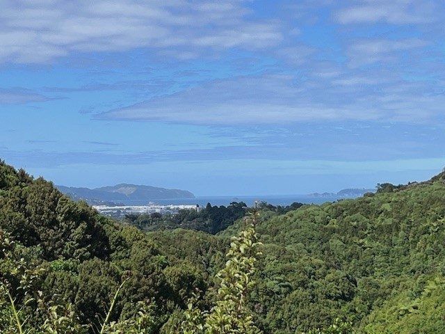  at 14 Haast Close, Kelson, Lower Hutt