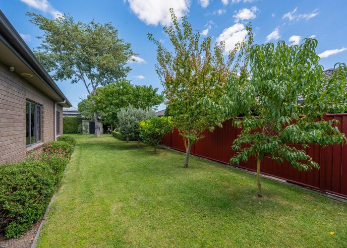  at 103 Northwood Avenue, Mahora, Hastings, Hawke's Bay
