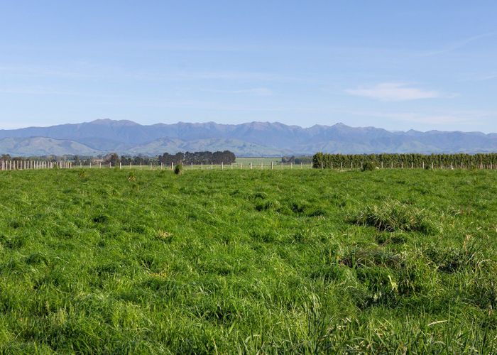  at 595 East Taratahi Road, Carterton, Carterton, Wellington