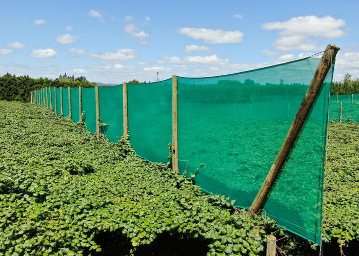  at 2412C State Highway 10, Kerikeri, Far North, Northland