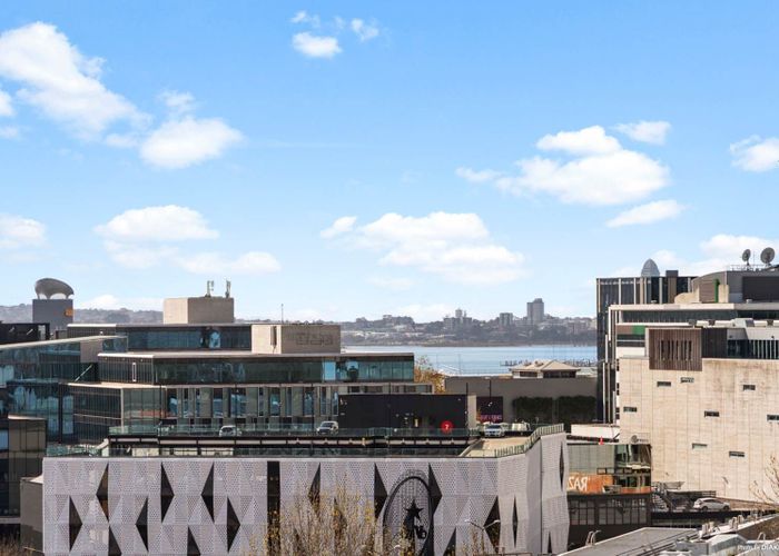 at 214/147 Nelson Street, City Centre, Auckland City, Auckland