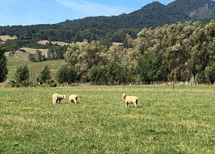  at 97 / Lot 8 Corcoran Rd, Te Pahu, Waipa, Waikato