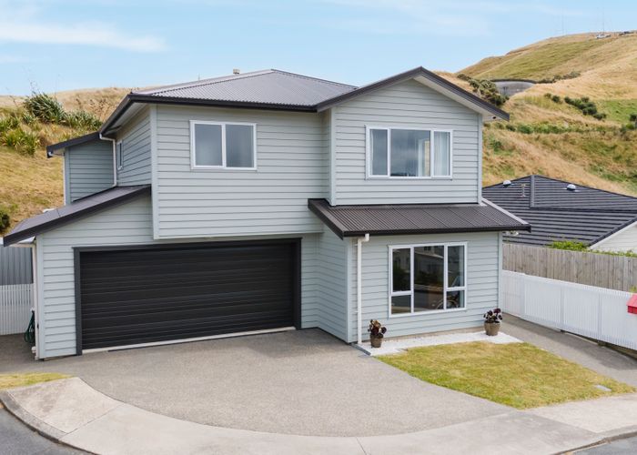  at 17 Bickerton Rise, Churton Park, Wellington