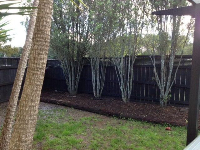  at 1/153 Abbotts Way, Remuera, Auckland