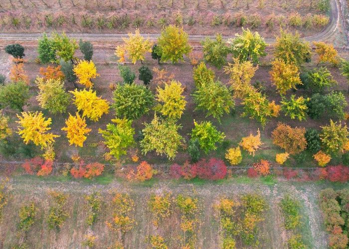  at 13 Blackman Road, Alexandra, Central Otago, Otago