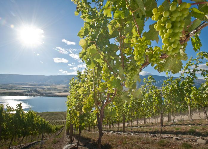  at 286 Lakefront Terrace, Tarras-Cromwell Road, Cromwell, Central Otago, Otago