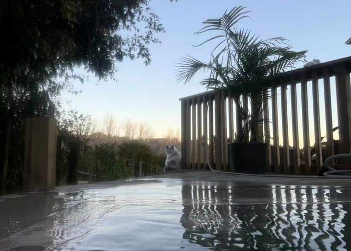  at 13 Regis Lane, Flat Bush, Auckland