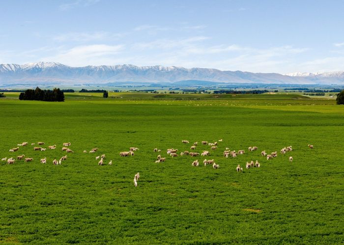  at Pendella Farm, 72 Gibson Road, Ranfurly, Central Otago, Otago