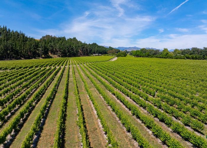  at 304 Dog Point Road, Hawkesbury, Marlborough, Marlborough