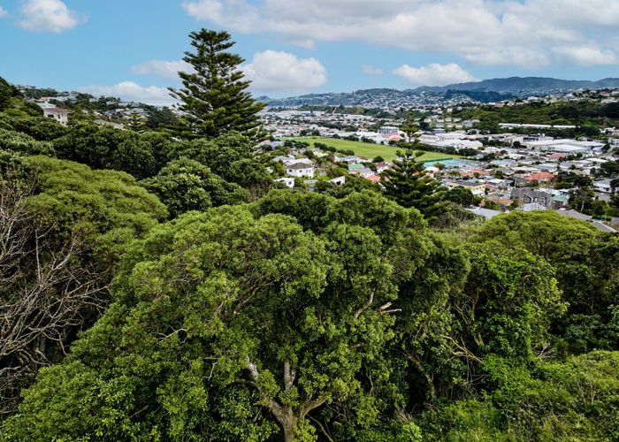  at 75 Camperdown Road, Miramar, Wellington