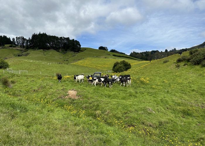  at 70 Kens Lane, Sawyers Bay, Dunedin, Otago