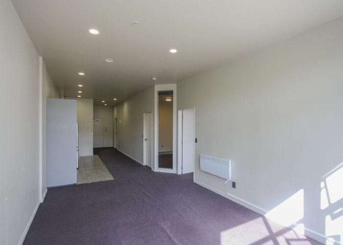  at 135  Taranaki St, Te Aro, Wellington, Wellington