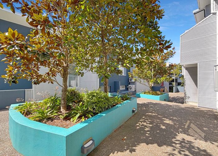  at 15/185 Tasman Street, Mount Cook, Wellington, Wellington