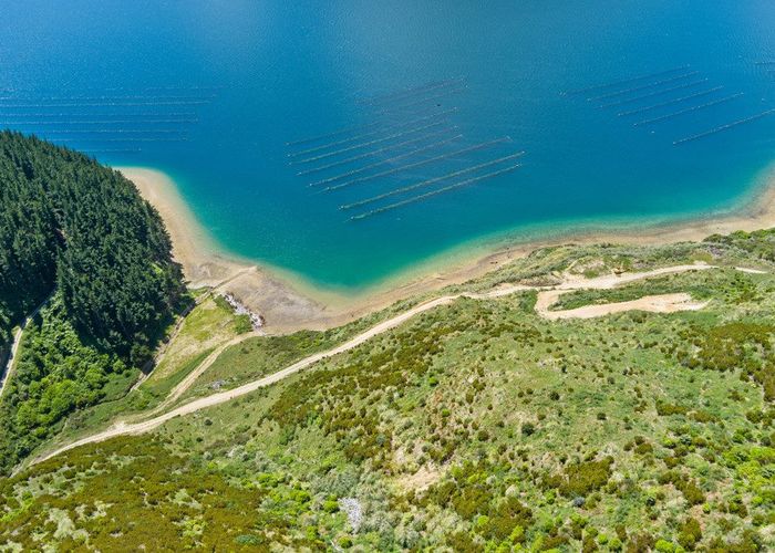  at 815 Manaroa Road, Marlborough Sounds, Marlborough, Marlborough
